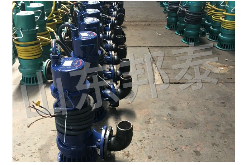 WQBkaiyun开云中国官方网站-kaiyun.com厂用防爆潜污电泵